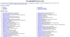 Desktop Screenshot of foragingpictures.com